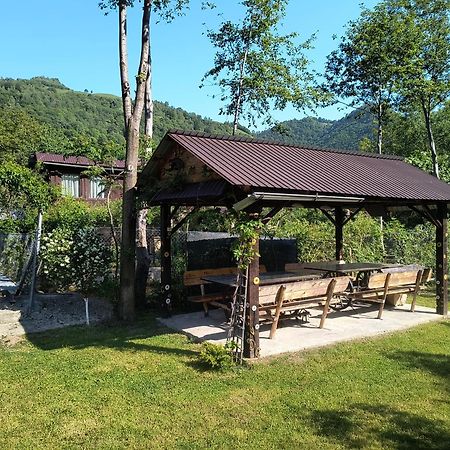 Casa De Vacanta Vidrighin Riuszád Kültér fotó