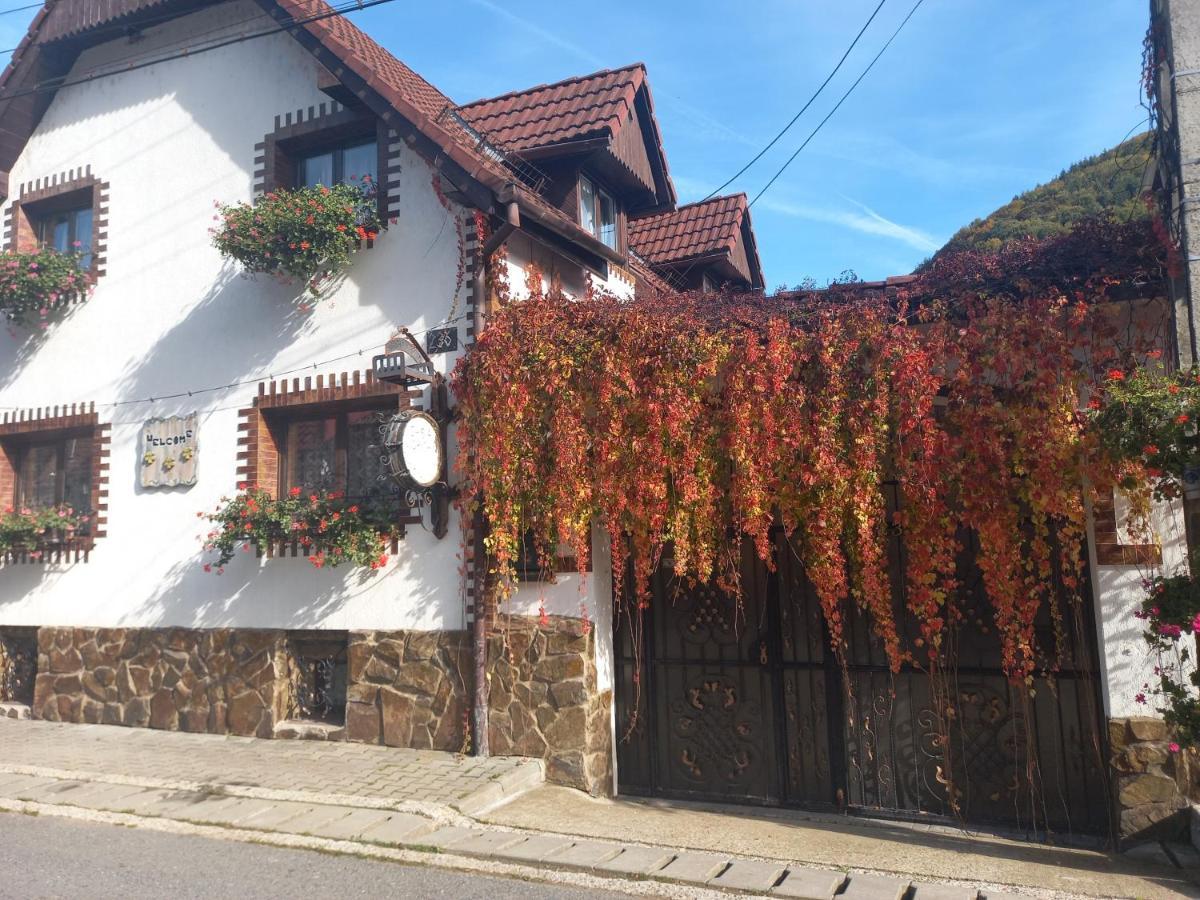 Casa De Vacanta Vidrighin Riuszád Kültér fotó