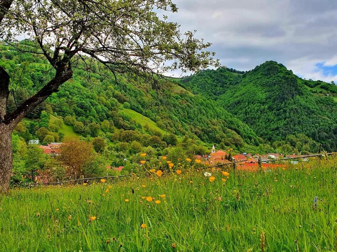 Casa De Vacanta Vidrighin Riuszád Kültér fotó