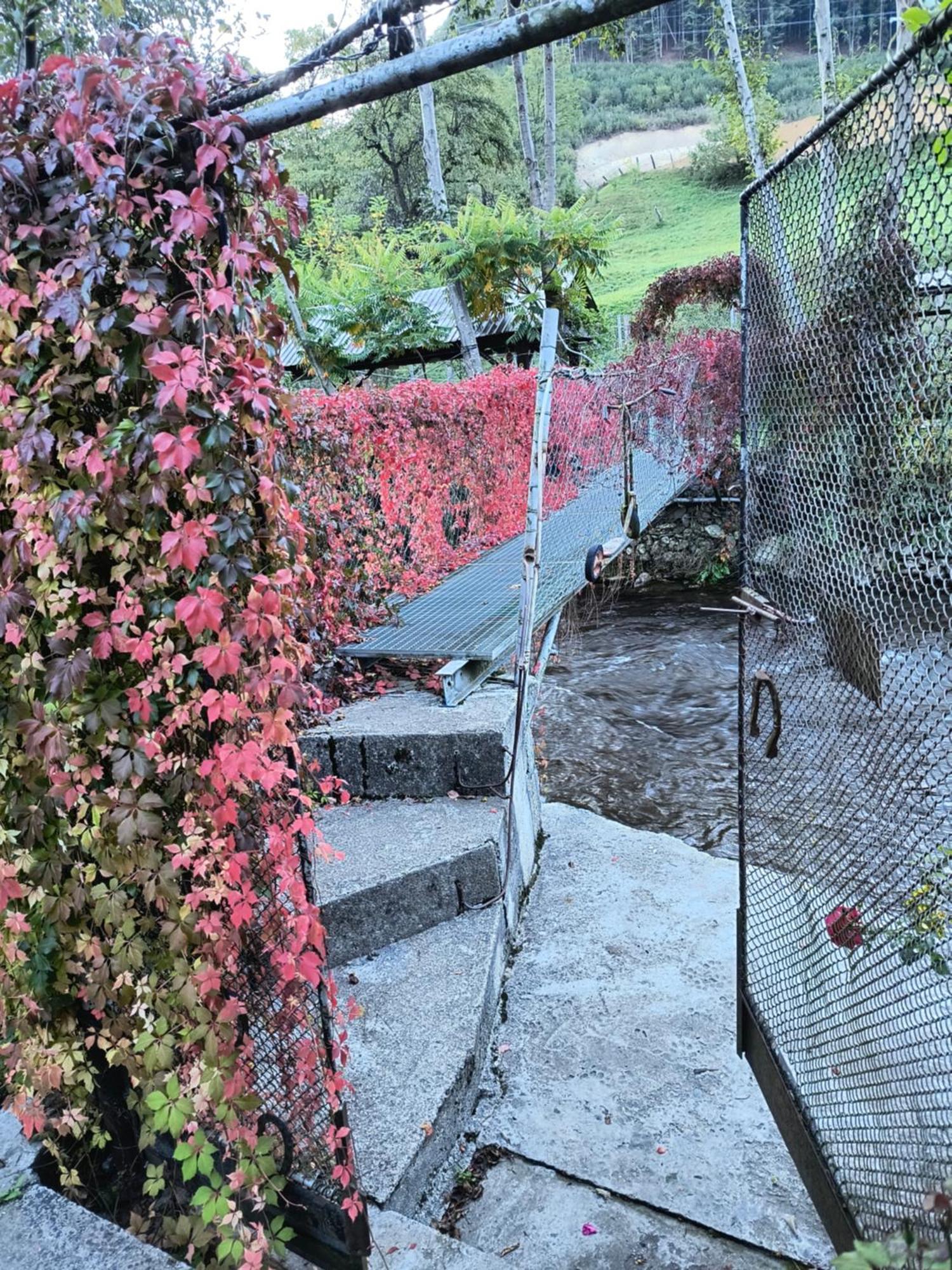 Casa De Vacanta Vidrighin Riuszád Szoba fotó
