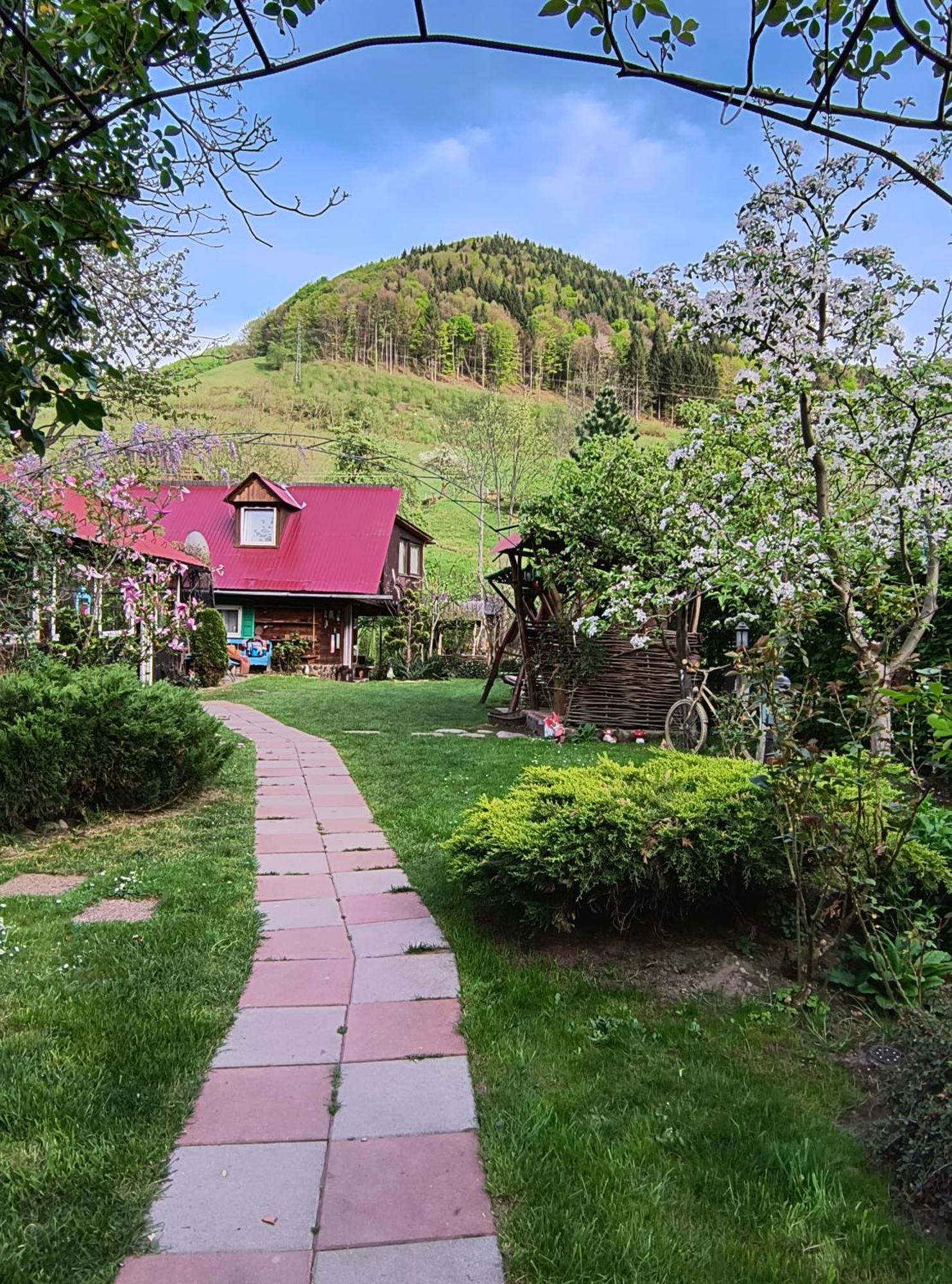 Casa De Vacanta Vidrighin Riuszád Kültér fotó