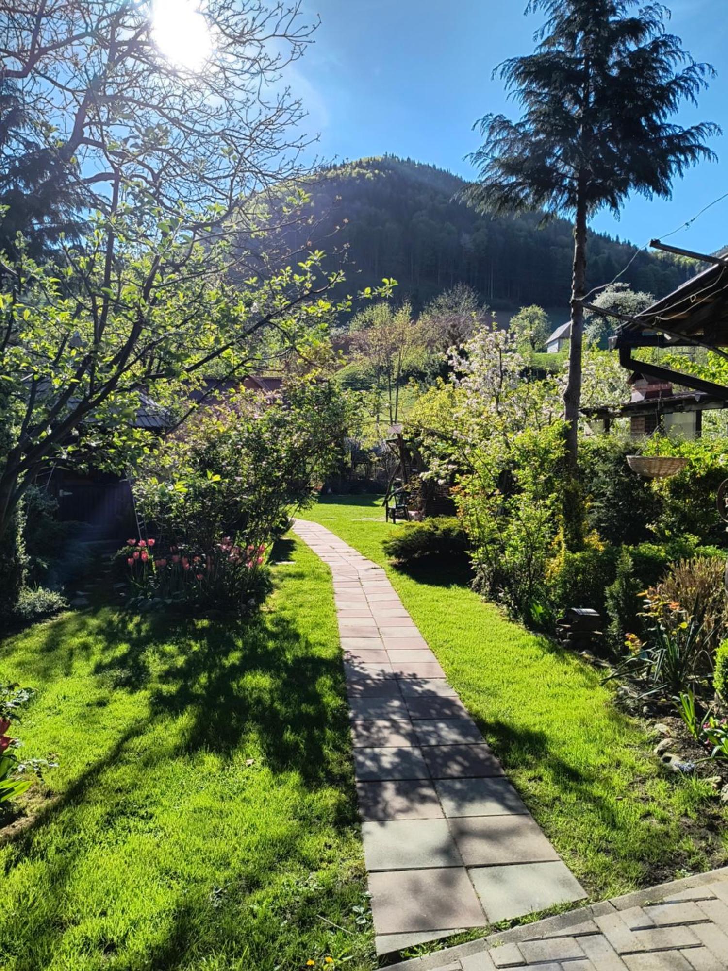 Casa De Vacanta Vidrighin Riuszád Kültér fotó