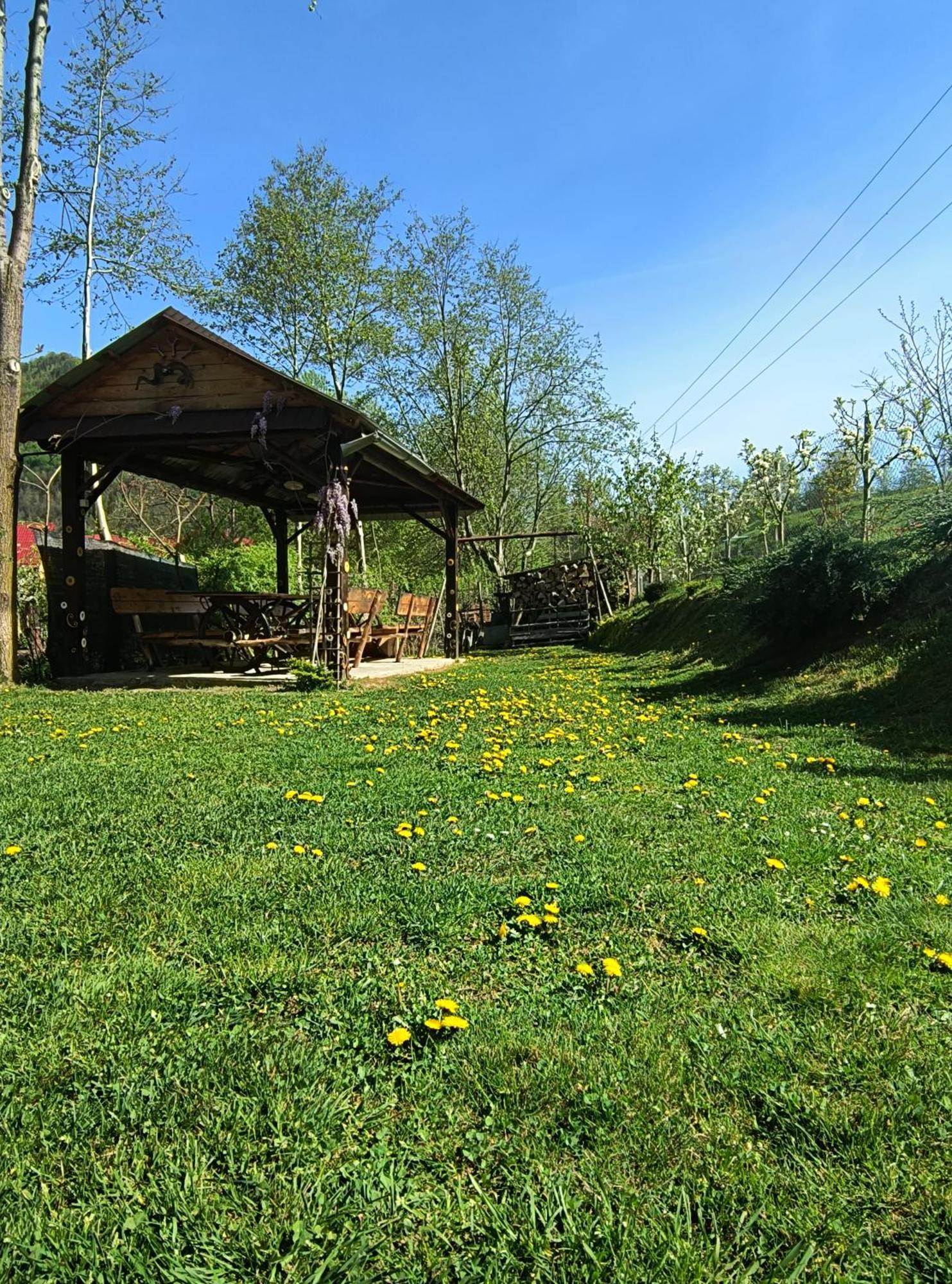 Casa De Vacanta Vidrighin Riuszád Kültér fotó